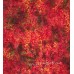 Seasonal Love Series